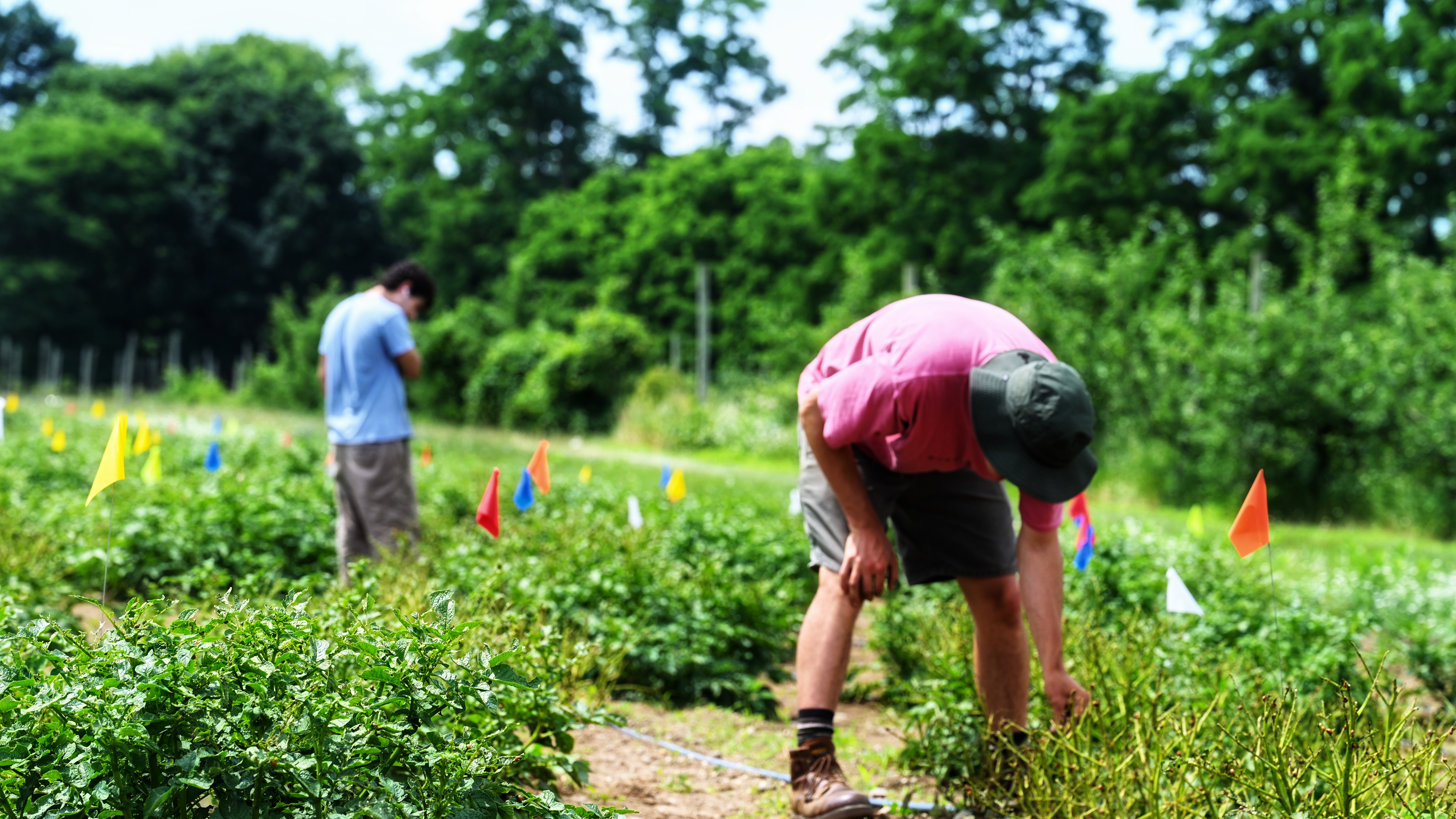 Ari Kurtz Papadopoulos & Nolan Kurtz | Collecting data in our research field — Summer 2025